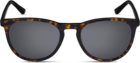 Audi Collection Men's Sunglasses Brown