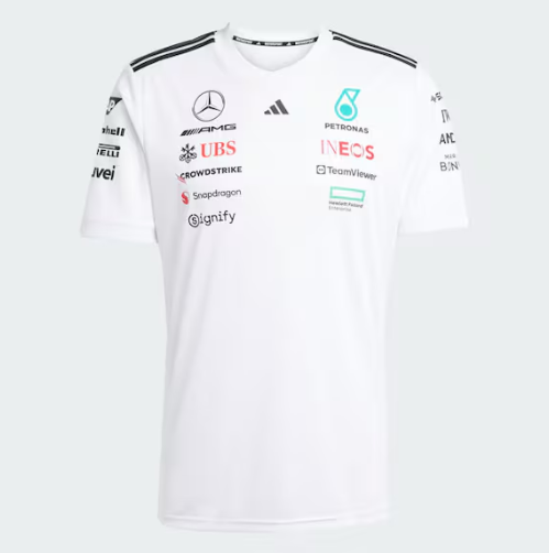 Mercedes-AMG F1 Driver Men's T -Shirt