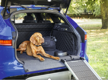 Jaguar Pet Access Ramp