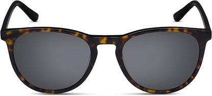 Audi Collection Men's Sunglasses Brown