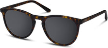 Audi Collection Men's Sunglasses Brown