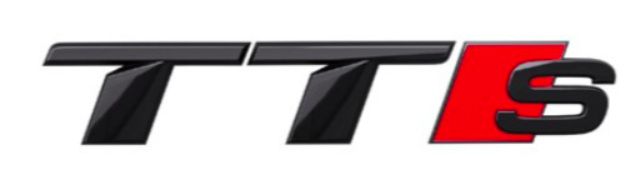Audi TTS Gloss Black Rear Badge
