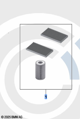 Genuine BMW Minor Service Kit 88002475029 (F Gen X5, X6)