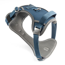 Land Rover Discovery Branded - Dog Activity Harness - Small to XL