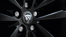 Jaguar Carbon Fibre Wheel Centre Badge - Set of 4