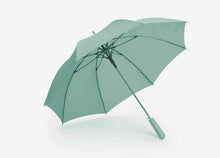MINI genuine Wordmark Walking Stick Umbrella Ocean Wave Green
